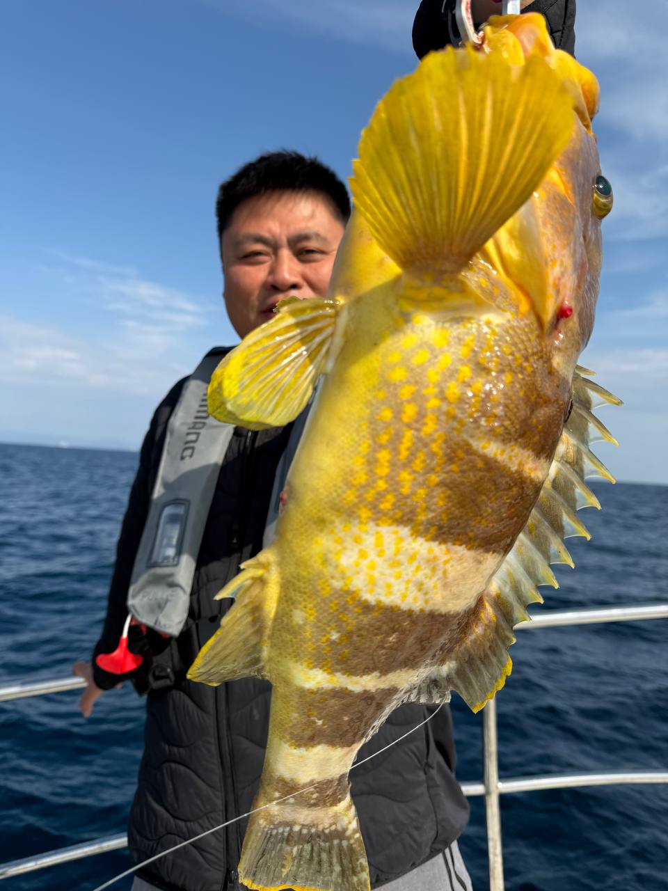 黄腊鱼特写