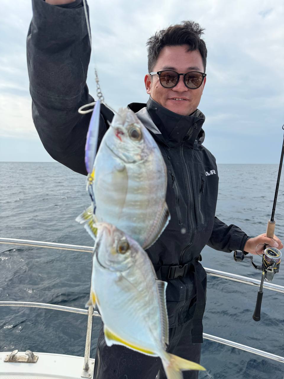 真鲷抱线