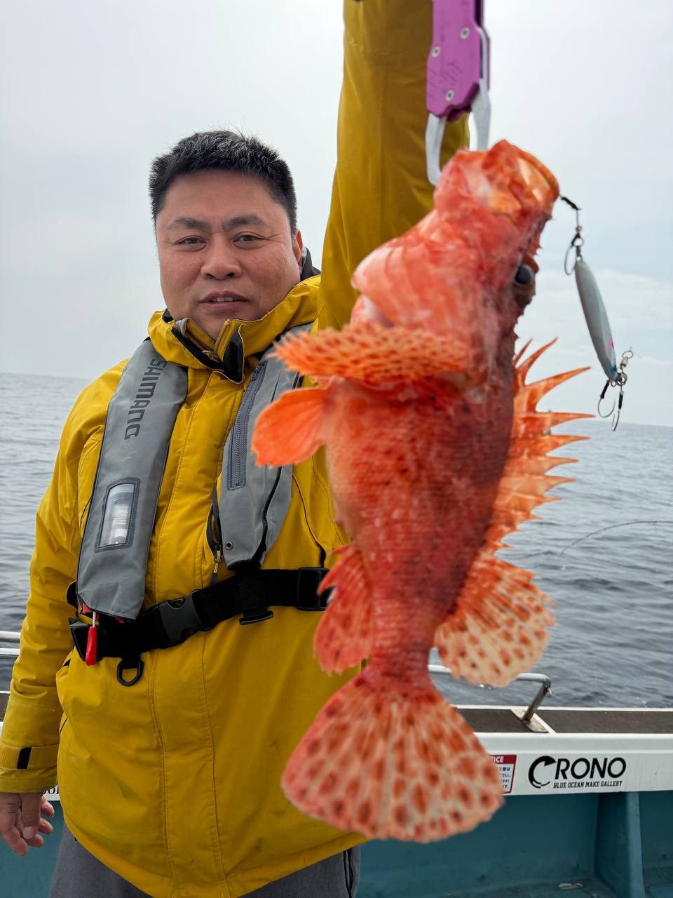 真鲷特写